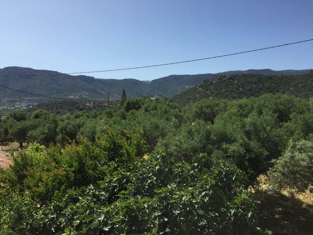 דירות איסטרו Asimina מראה חיצוני תמונה